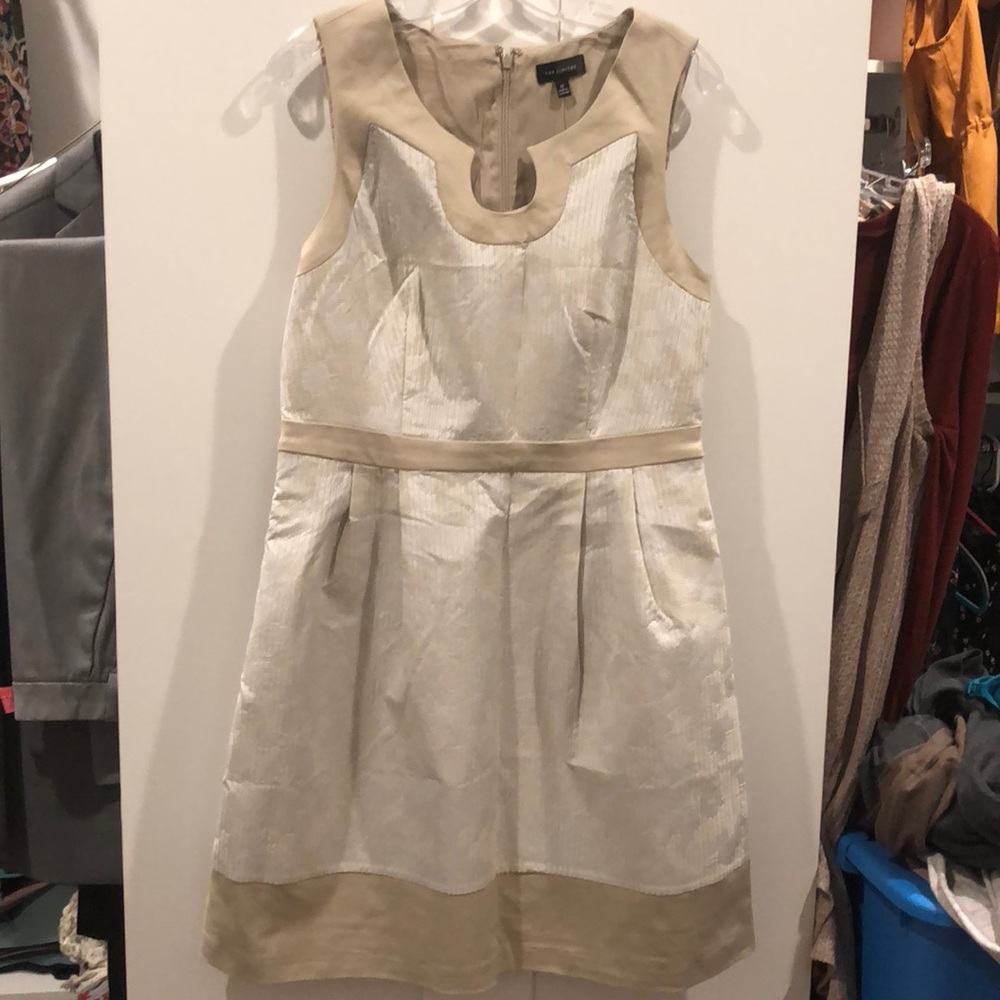 The Limited Tan and white pleated dress